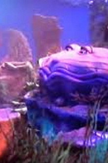 Wee Sing Under the Sea