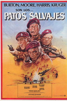 Patos salvajes