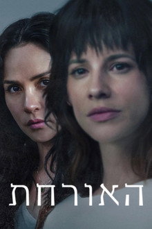 האורחת