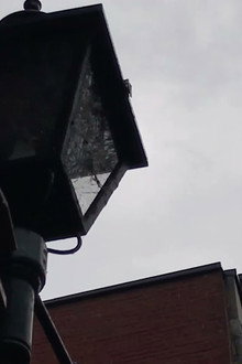 Un día Gris