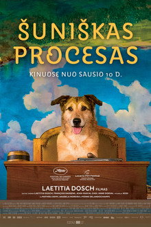 Šuniškas procesas