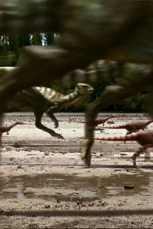 Dino Stampede