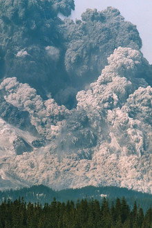 Surviving the Mount St. Helens Disaster