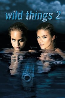 Wild Things 2 movie poster