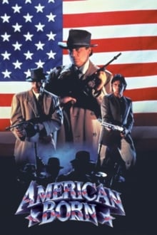 Poster do filme American Born