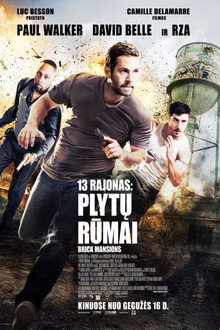 13 rajonas: plytų rūmai