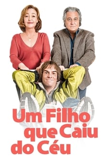 Poster do filme Um Filho que Caiu do Céu