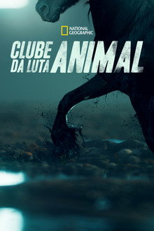 Temporada 6