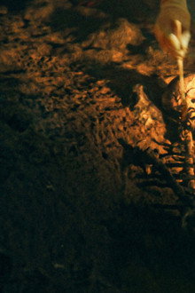 Secrets of the Neanderthals