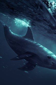 Sea-of-Shadows