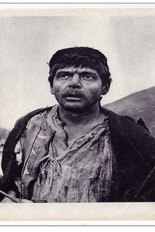 Радополье