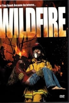 Poster do filme Wild Fire