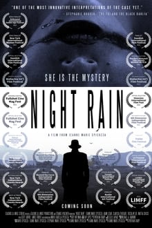 Poster do filme Night Rain