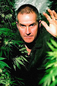 Cannabis: The Evil Weed?