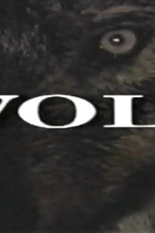 Predators of the Wild: Wolf