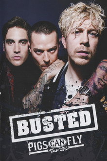 Busted: Pigs Can Fly Tour 2016