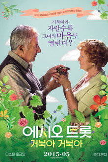 에시오 트롯: 거북아 거북아
