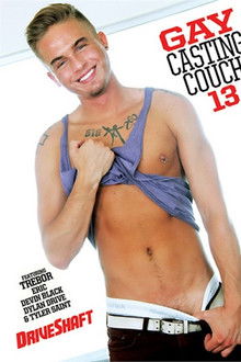 Gay Casting Couch 13