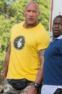 Central-Intelligence