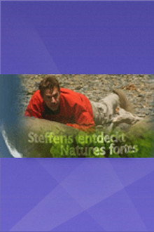 Steffens entdeckt
