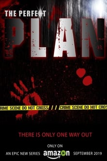 Poster da série The Perfect Plan