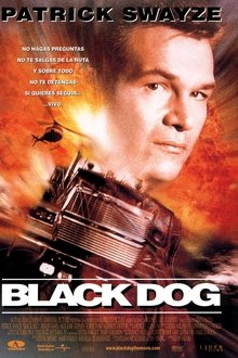 Black Dog (Alto riesgo) (1998)