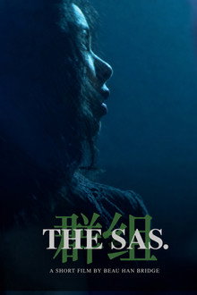 The SAS