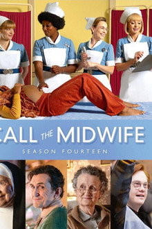 Series 14