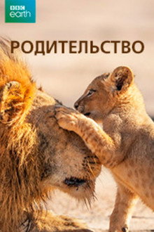 Сезон 1