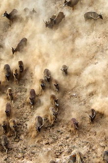 China's Wild Secrets