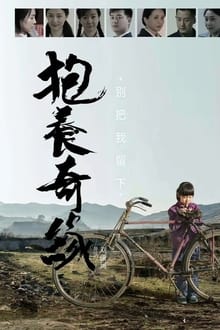 Poster do filme 抱养奇缘