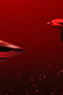 Sharks-vs.-Dolphins-Blood-Battle