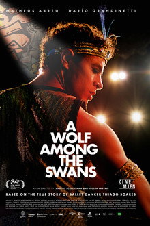 A Wolf Among the Swans