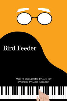 Bird Feeder