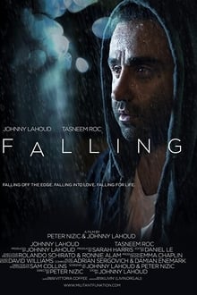 Poster do filme Falling