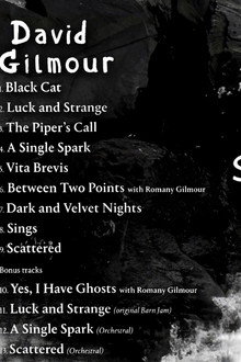 David Gilmour: Luck And Strange