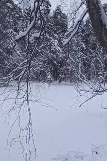 La Féerie Winter