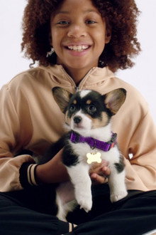 Puppy for Hanukkah