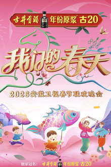 安徽卫视春节联欢晚会