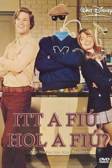 Itt a fiú, hol a fiú?