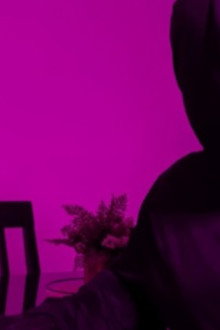 Paranoia Nocturna