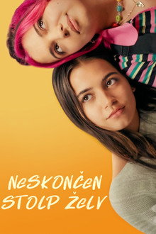 Neskončen stolp želv