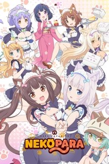 Poster da série Nekopara