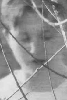 Montage of Vitrine