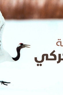 رقصة طائر الكركي