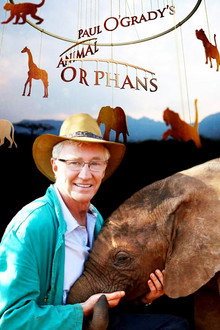Paul O'Grady's Animal Orphans