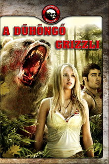 A dühöngő grizzli