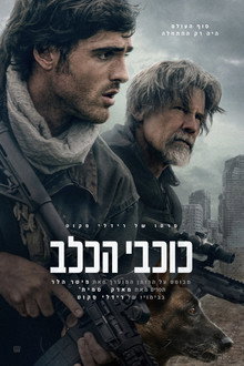 כוכבי הכלב
