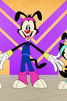 Animaniacs season 2 episode 30