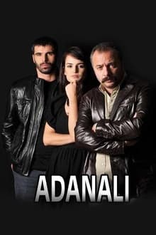 Poster da série Adanalı